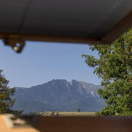 Apartamenty U Anusia Zakopane Exterior foto